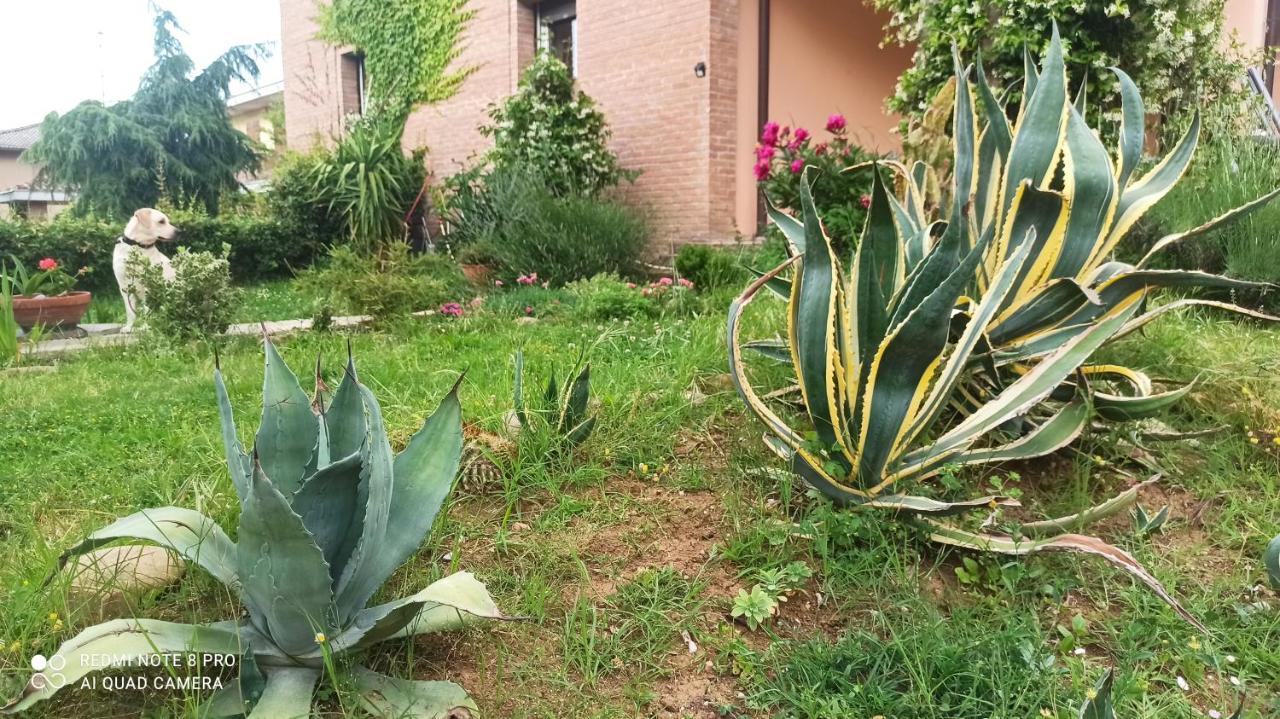 Вилла Casa Vincenzo 130 Mq Con Portico Ed Ingresso Esclusivo Dal Giardino Felino Экстерьер фото