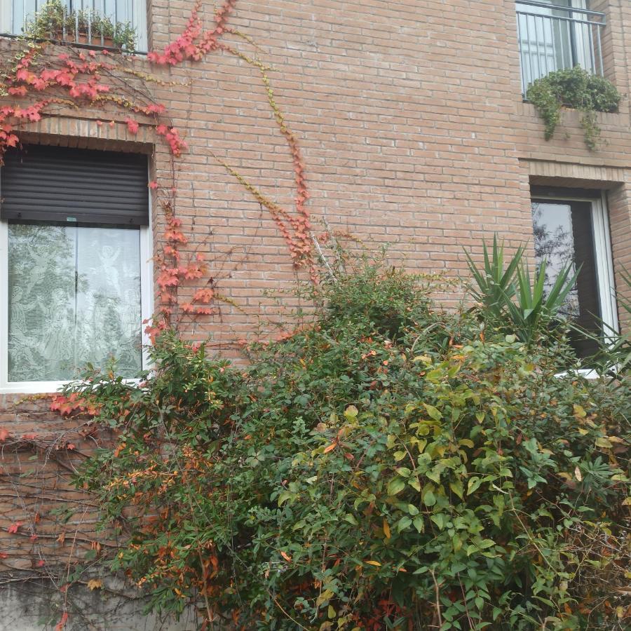 Вилла Casa Vincenzo 130 Mq Con Portico Ed Ingresso Esclusivo Dal Giardino Felino Экстерьер фото