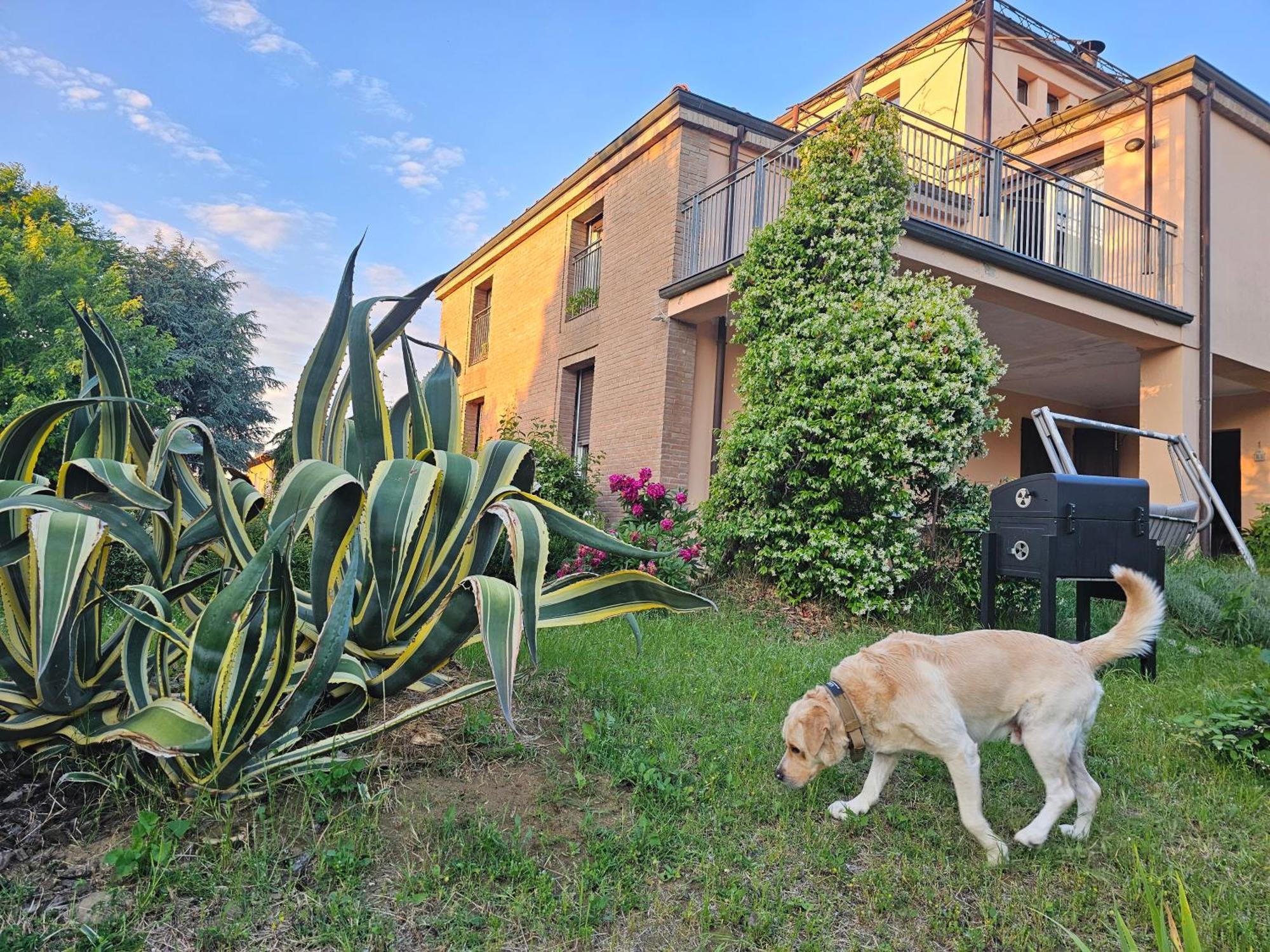 Вилла Casa Vincenzo 130 Mq Con Portico Ed Ingresso Esclusivo Dal Giardino Felino Экстерьер фото